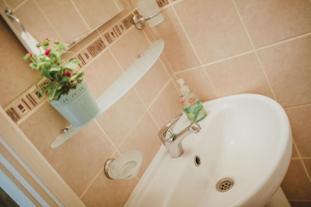 Beyaz lavabo, çiçek saksısı ve sabunluk içeren banyo.